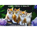 Dobr� a ��itky si d�vajte