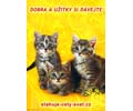 Dobra a u�itky si d�vejte