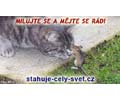 Milujte se a m�jte se r�di